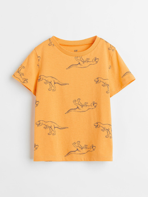 

H&M Boys Orange Printed Pure Cotton T-shirt