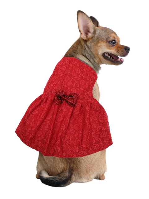 

Dchica Paws Dogs Red Self Design Dog Dress