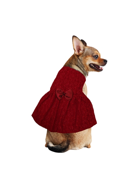 

Dchica Paws Maroon Self Design Dog Dress