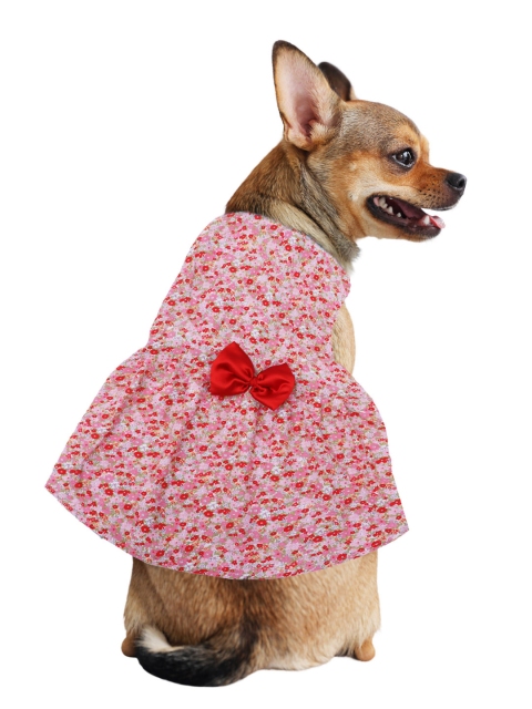 

Dchica Paws Pink Floral Printed Dog Dress