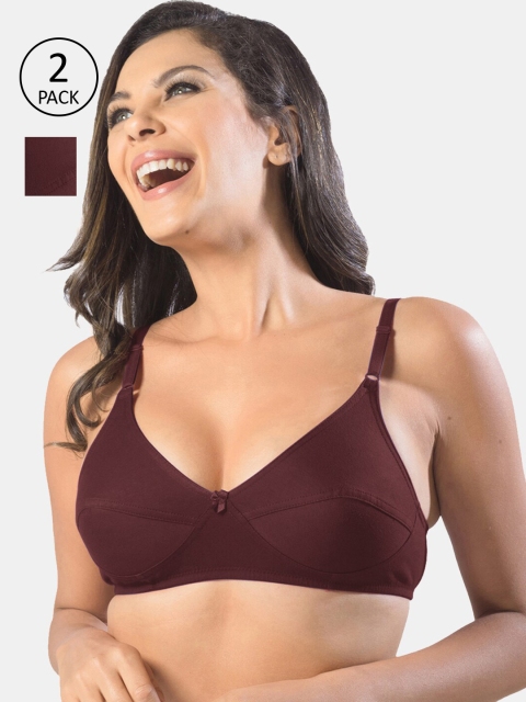 

Sonari Maroon Set Of 2 Non-Padded Non-Wired Bra