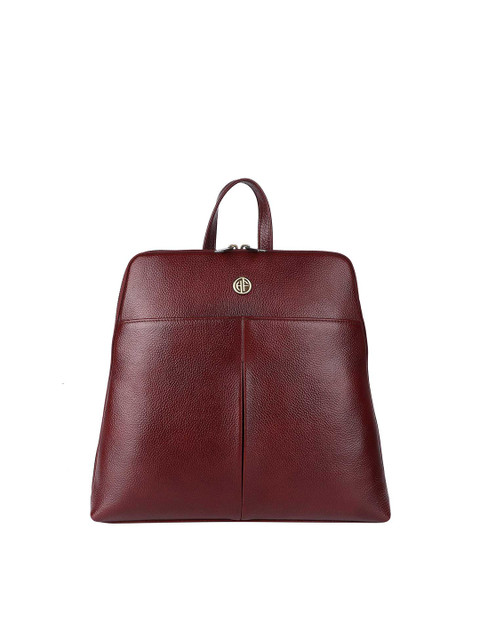 

HAMMONDS FLYCATCHER Unisex Brown Backpack with Compression Straps