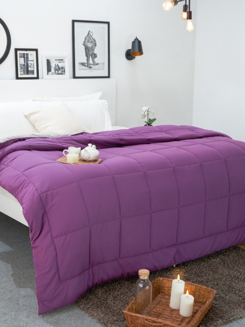 

SPACES Purple Microfiber AC Room 150 GSM Single Bed Quilt