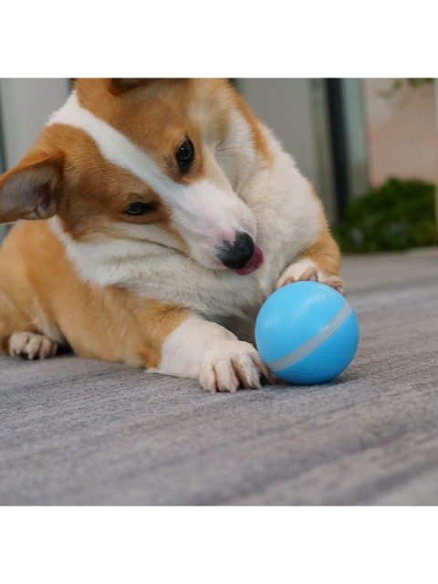 

Pawsindia Blue Wicked Ball Super Interactive Dog Ball