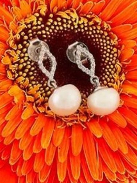 

SILBERRY Silver-Toned Contemporary Hoop Earrings