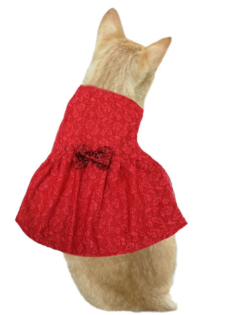 

Dchica Paws Red Self-Design Bow Applique Cotton Summery Lightweight Cat Dress