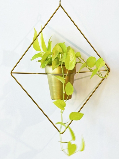 

WENS Gold-Coloured Solid Planters