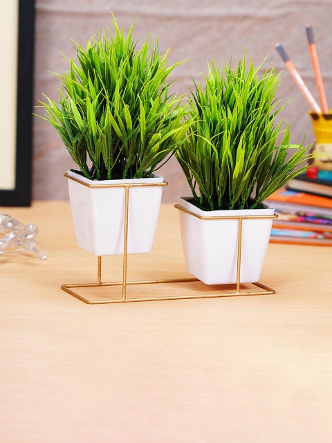 

Dekorly Green Artificial Flowers and Plants