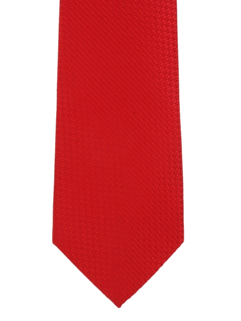 

Alvaro Castagnino Men Red Patterned Tie