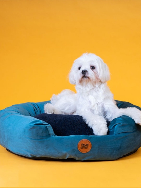 

thepawpstarco Blue Solid Cotton Pet Beds