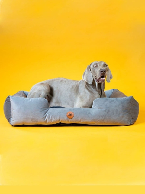 

thepawpstarco Grey Solid Cotton Pet Beds