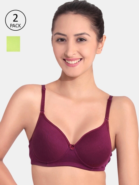 

Floret Burgundy & Green Bra Heavily Padded