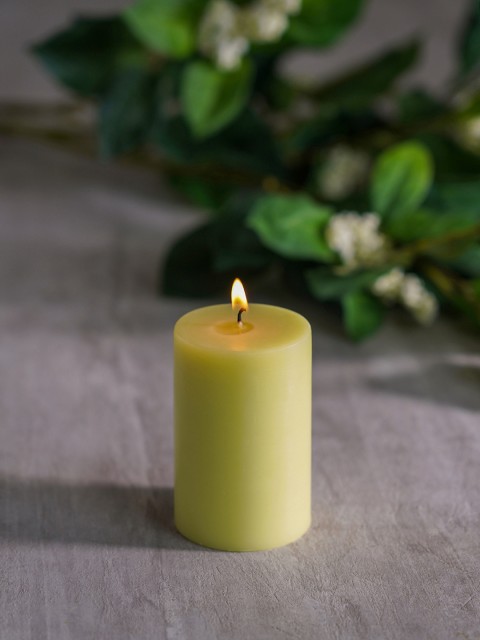 

Pure Home and Living Set Of 2 Green Solid Candles
