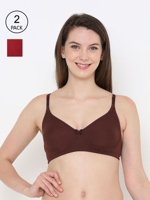 

Berrys Intimatess Brown & Maroon Bra