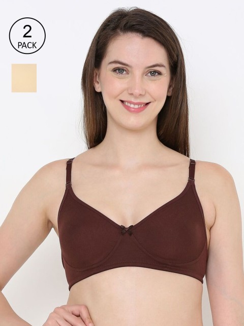 

Berrys Intimatess Brown & Beige Bra