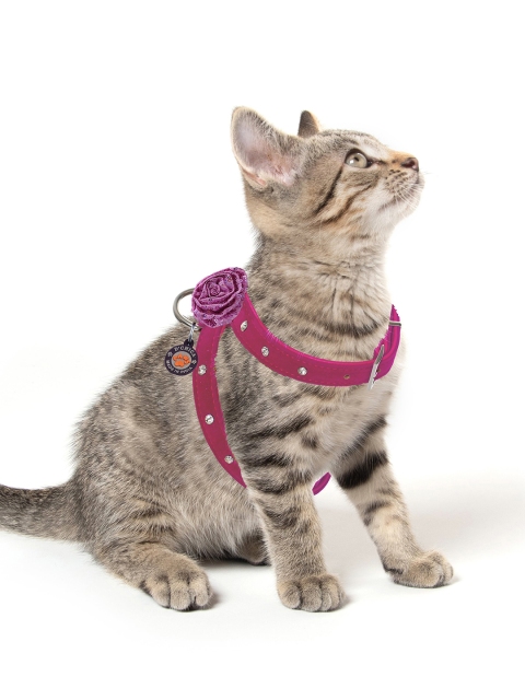 

Dchica Paws Pink Solid Studded Fancy Harness