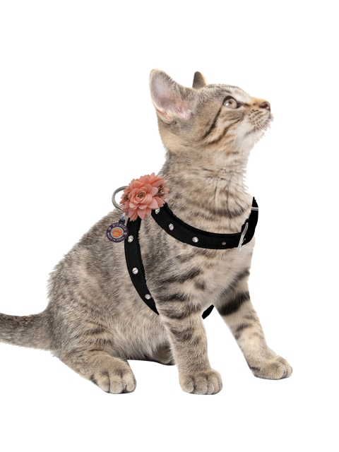 

Dchica Paws Black Pet Harnesses