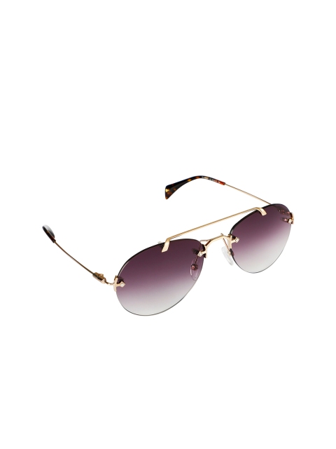 

davidjones Unisex Brown Sunglasses
