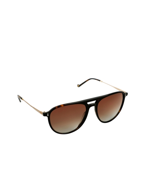 

davidjones Unisex Brown Sunglasses