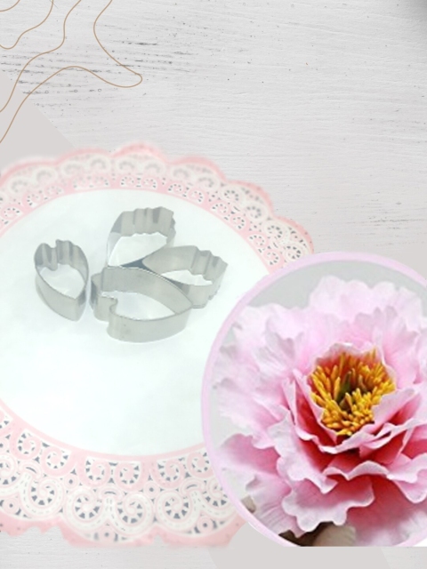 

JoyGlobal 4 Pieces Stainless Steel Small Peony Cutter, Silver