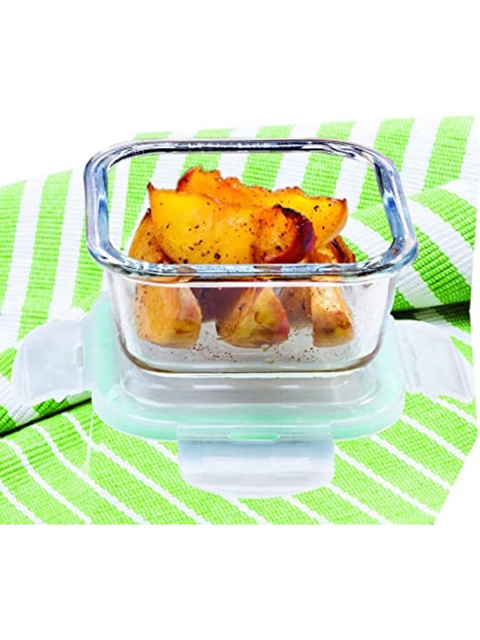 

SignoraWare Transparent Solid Borosilicate Glass Food Container