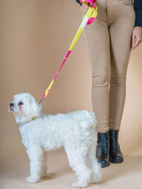 

thepawpstarco Pink Printed Pet Collars