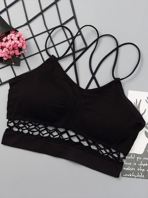 

URBANIC Women Black Bra
