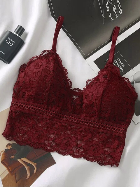 

URBANIC Women Burgundy Bra