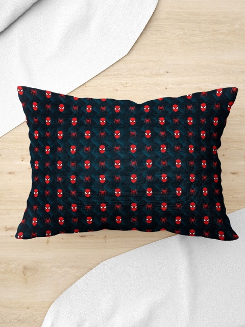 

Marvel Boys Blue & Red Printed Baby Pillow