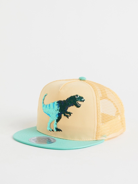 

H&M Boys Turquoise & Yellow Embellished Caps