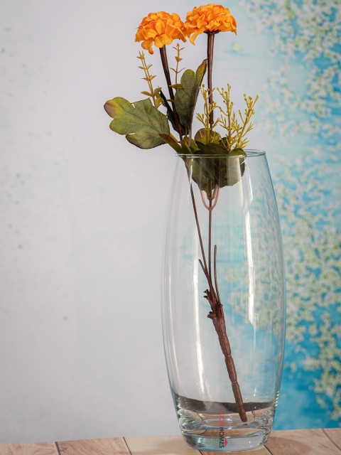 

GOODHOMES Transparent Glass Flower Vase