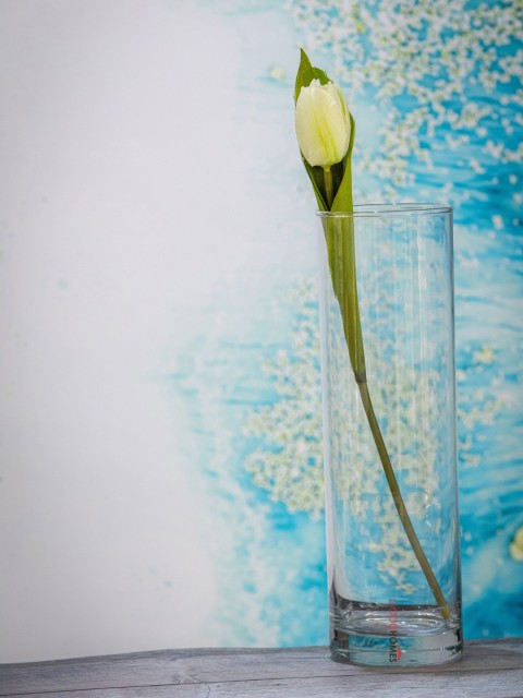 

GOODHOMES Transparent Glass Flower Vase