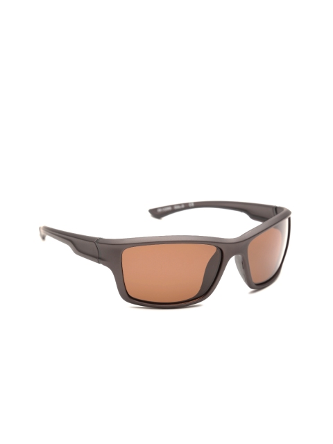 

Daniel Klein Men Polarised Rectangle Sunglasses DK3099-COL3, Brown