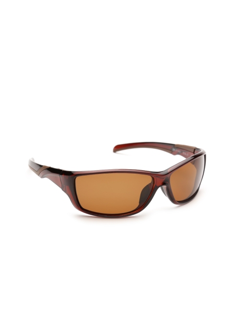 

Daniel Klein Men Polarised Rectangle Sunglasses DK3130-COL3, Brown