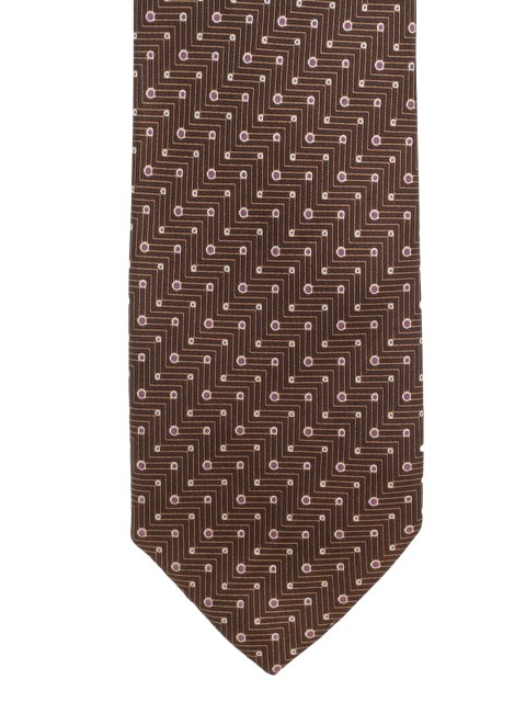 

Alvaro Castagnino Brown Printed Tie