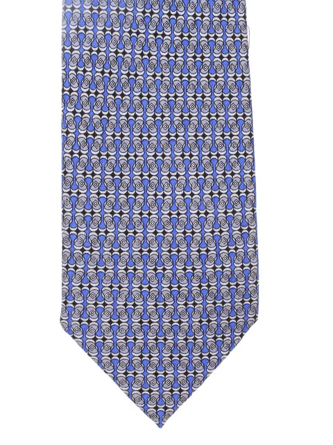 

Alvaro Castagnino Men Blue Printed Tie