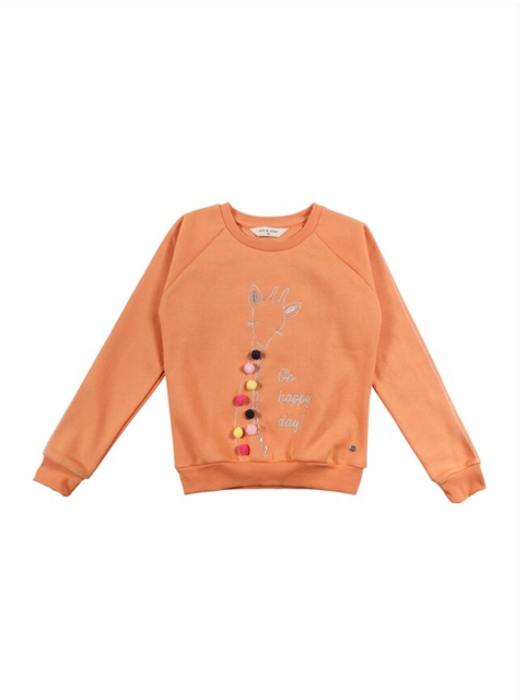

Gini and Jony Girls Orange Embroidered Sweatshirt