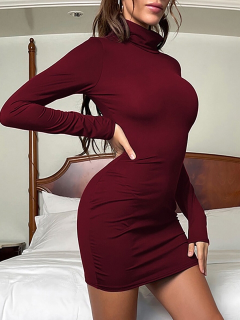 

URBANIC Burgundy Bodycon Mini Dress
