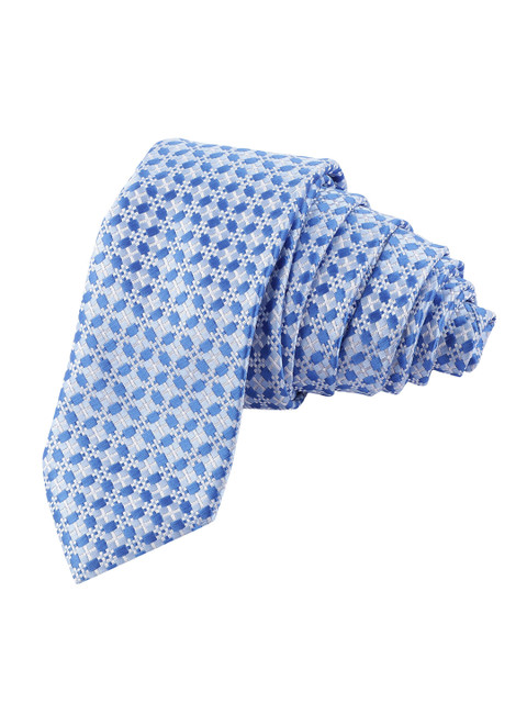 

Alvaro Castagnino Men Blue Woven Design Skinny Tie