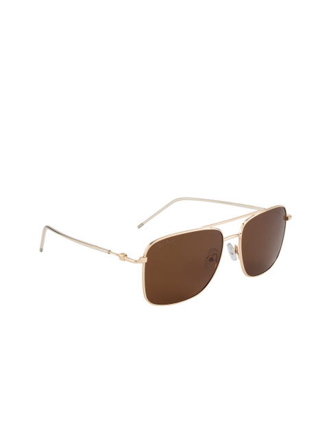 

Ted Smith Unisex Brown Lens & Gold-Toned Aviator Sunglasses with Polarised and UV Protected Lens