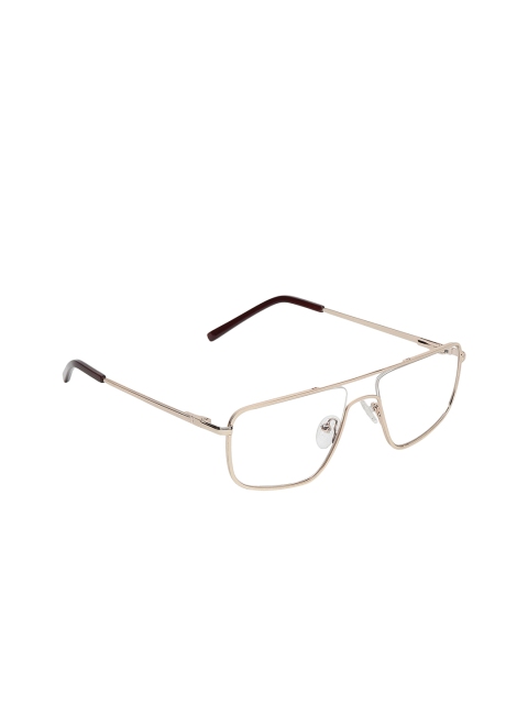 

ALIGATORR Unisex Clear Lens & Gold-Toned Aviator Sunglasses with UV Protected Lens