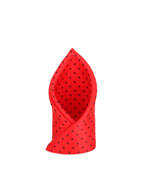 

Alvaro Castagnino Red Polka Dot Print Pocket Square