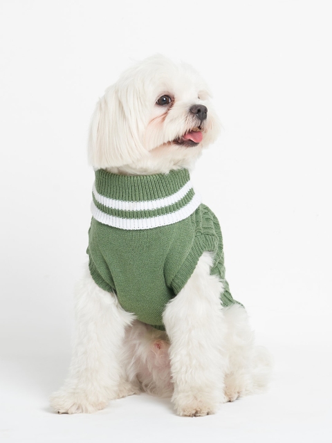 

thepawpstarco Olive Green Self Design Woolen Dog Sweaters