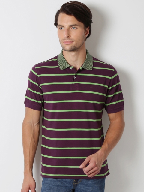 

Peter England Men Purple & Green Striped Polo Collar T-shirt