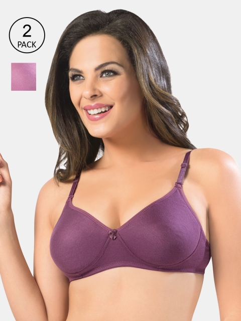 

Sonari Women Multi Bra, Purple