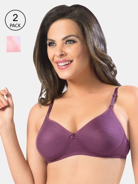 

Sonari Women Multi Bra, Burgundy