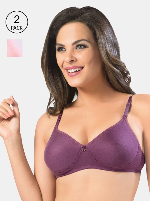 

Sonari Purple & Pink Solid Non Padded Non wired Everyday Bra