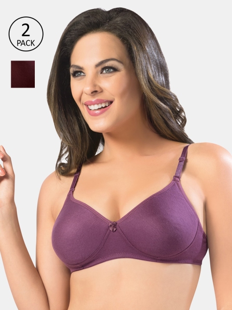 

Sonari Women Multi Bra, Maroon