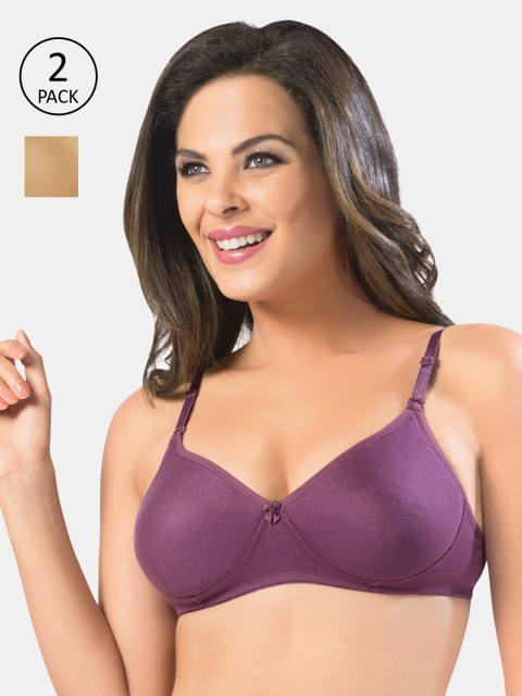 

Sonari Women Multi Bra, Burgundy