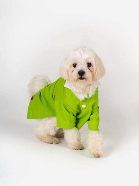 

thepawpstarco Green Solid Dog T-Shirt